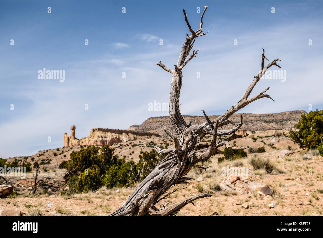 The Chimney Rock seen through dried tree branches at Ghost Ranch ...