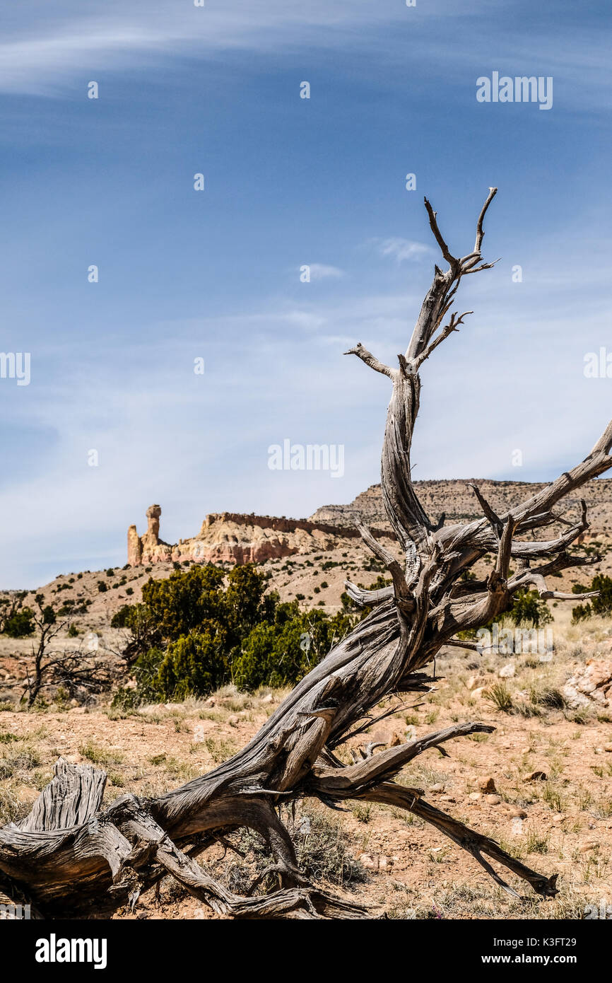 The Chimney Rock seen through dried tree branches at Ghost Ranch ...