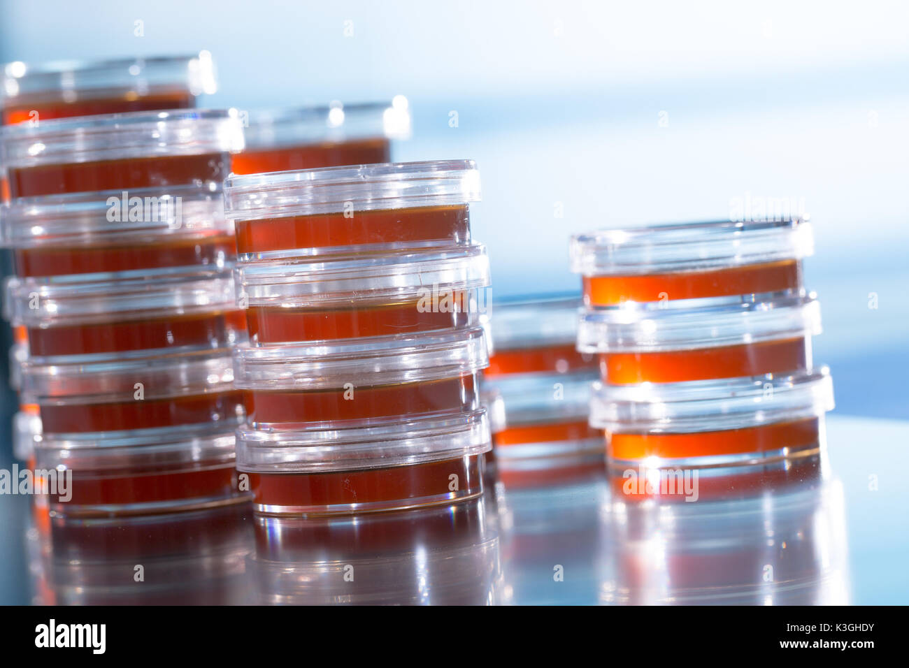 Pile petri dish for growing cultures of in doctor hand