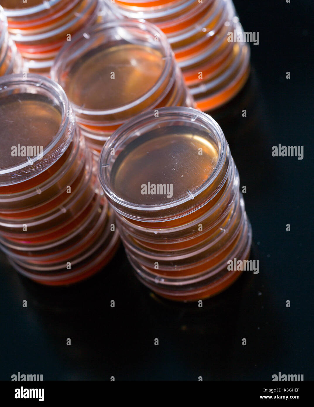 Pile petri dish for growing cultures of in doctor hand