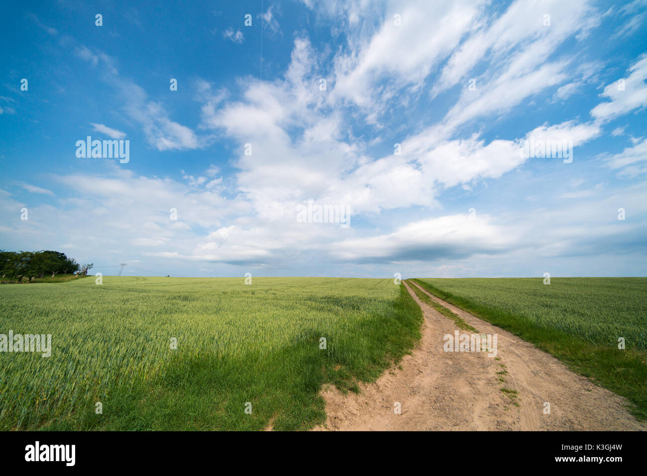 Green field and sky with clouds at sunny day Stock Photo