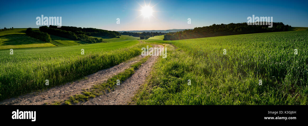 Green field and clear blue sky sun panorama Stock Photo - Alamy