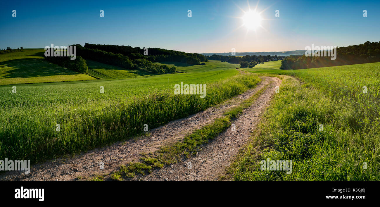 Green field and clear blue sky sun panorama Stock Photo