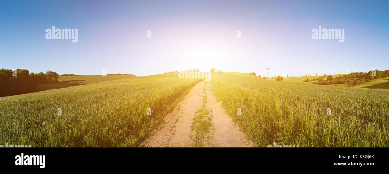 Green field and clear blue sky sun panorama Stock Photo - Alamy