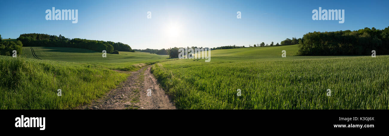 Green field and clear blue sky sun panorama Stock Photo