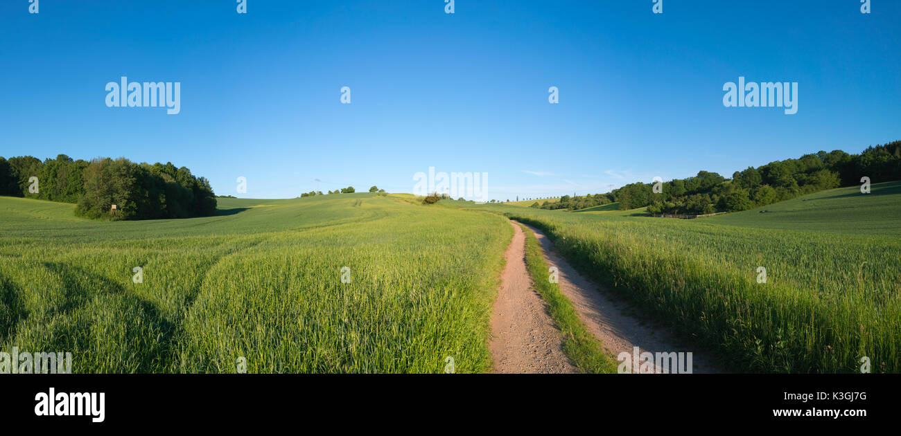 Green field and clear blue sky panorama Stock Photo