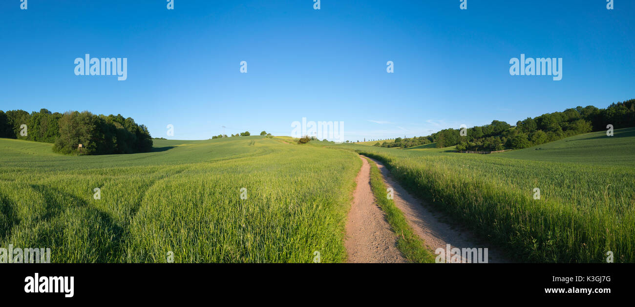 Green field and clear blue sky panorama Stock Photo - Alamy