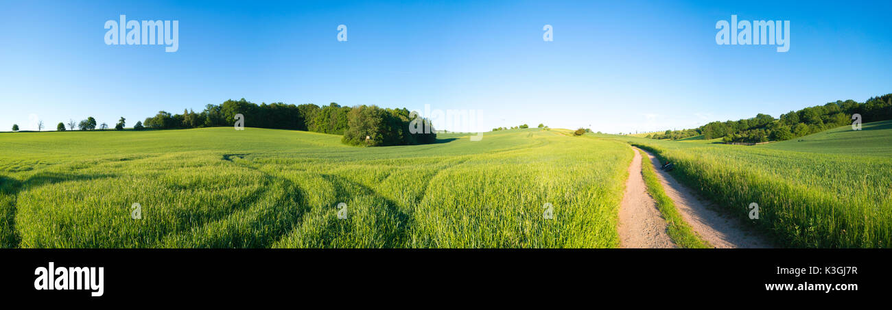 Green field and clear blue sky panorama Stock Photo - Alamy