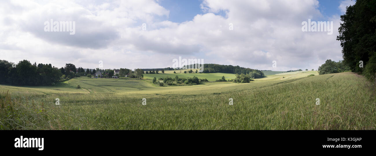 Green field and clear cloudy sky panorama Stock Photo - Alamy