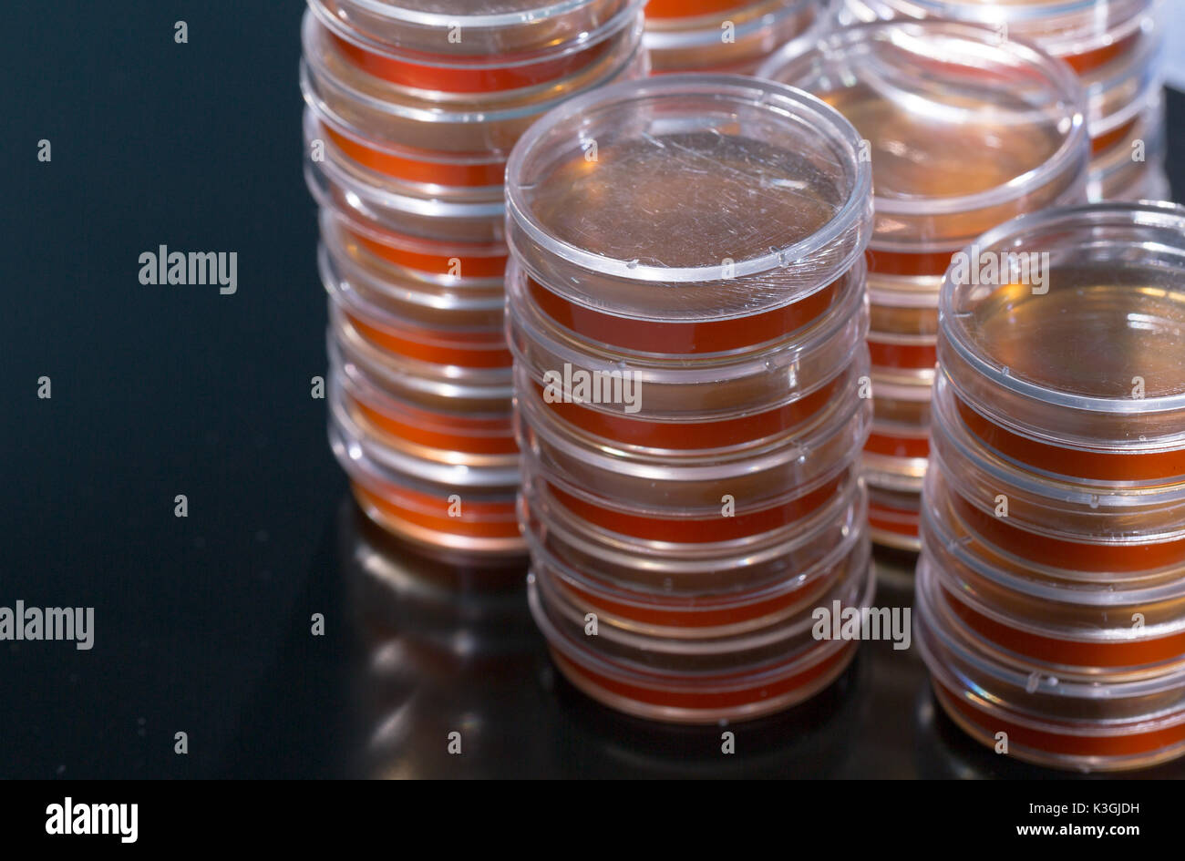 Pile petri dish for growing cultures of in doctor hand