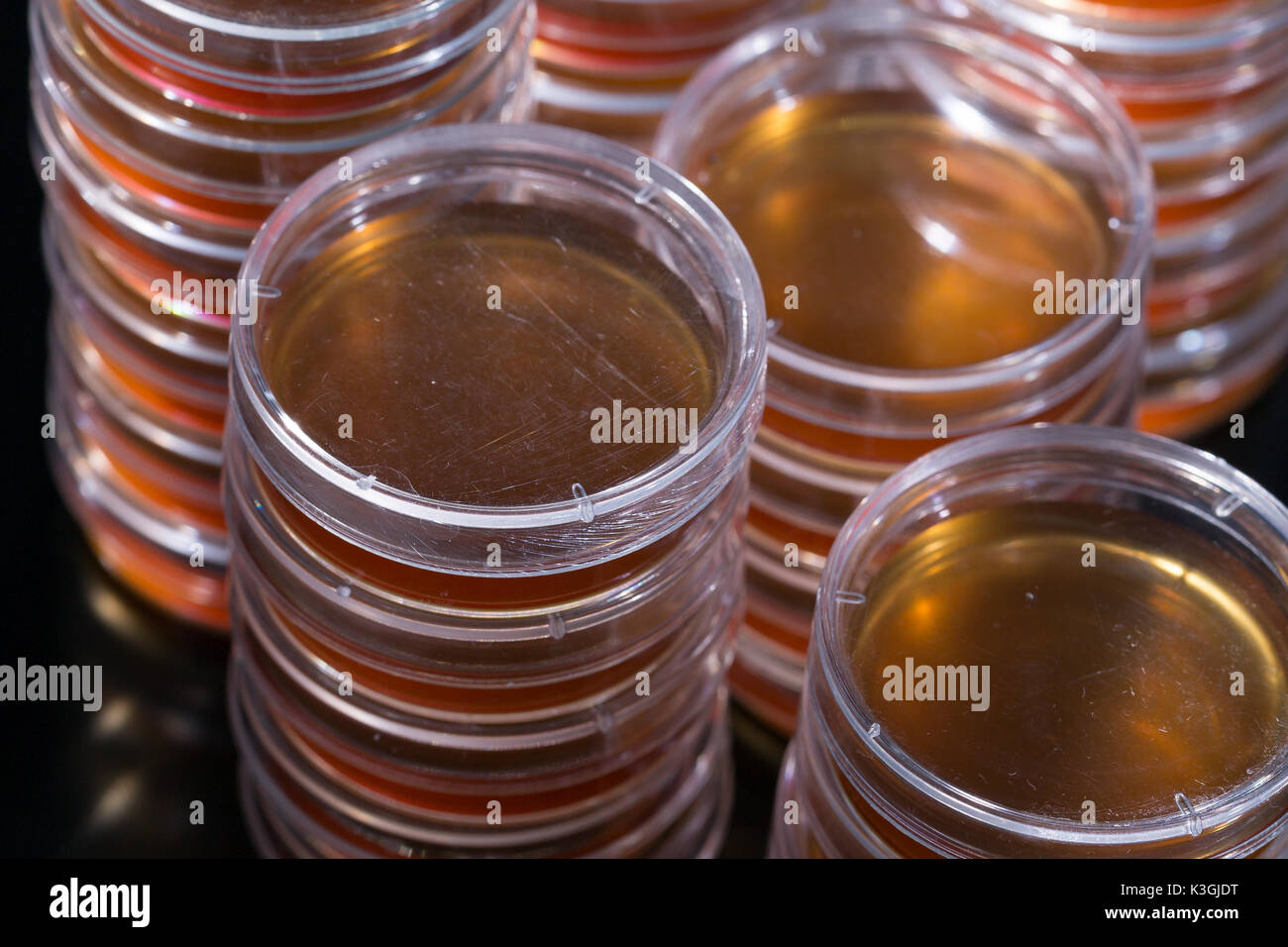 Pile petri dish for growing cultures of in doctor hand , fungi and microbes. A