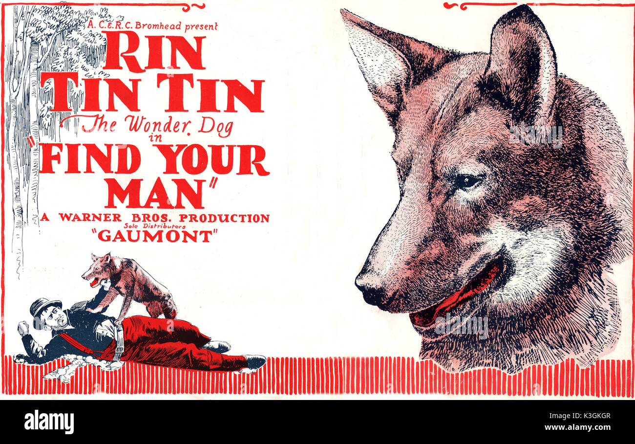 FIND YOUR MAN RIN-TIN-TIN the wonder dog FIND YOUR MAN Stock Photo