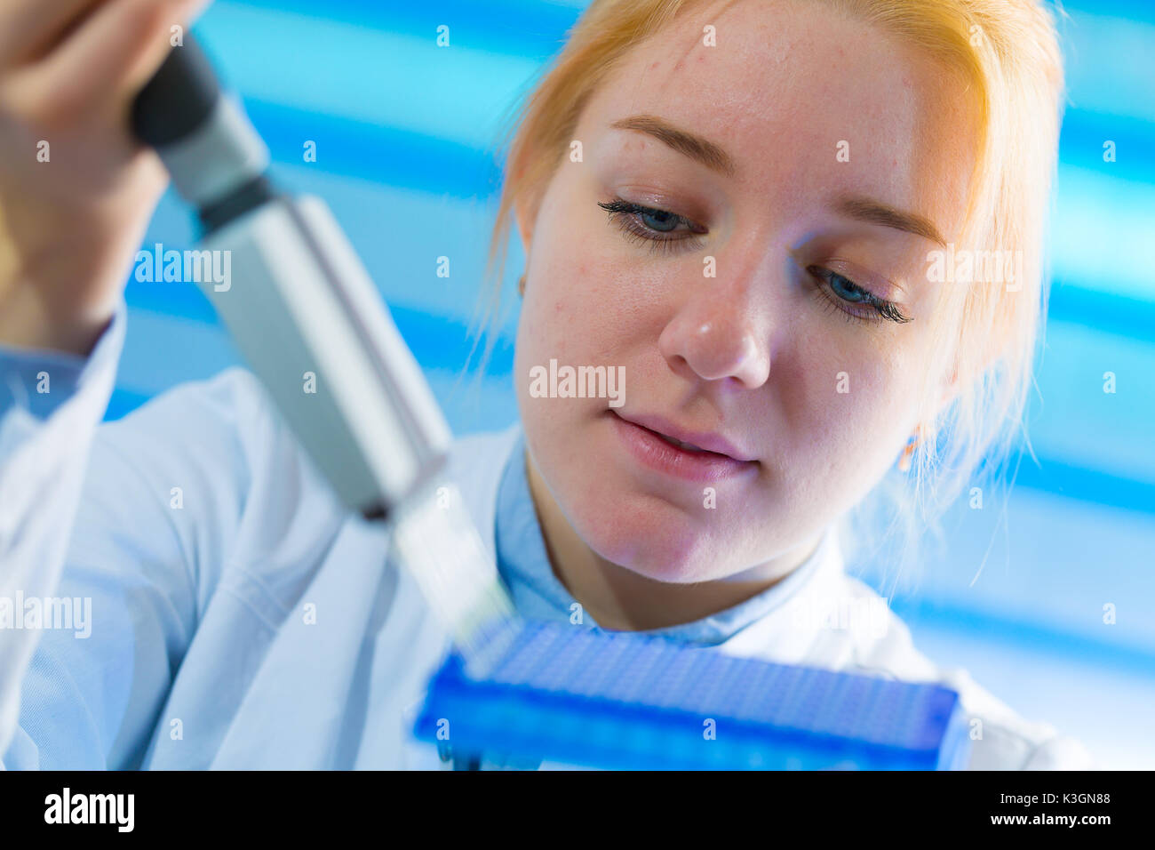 using a multi channel pipette for pcr  processing in microbiological laboratory Stock Photo