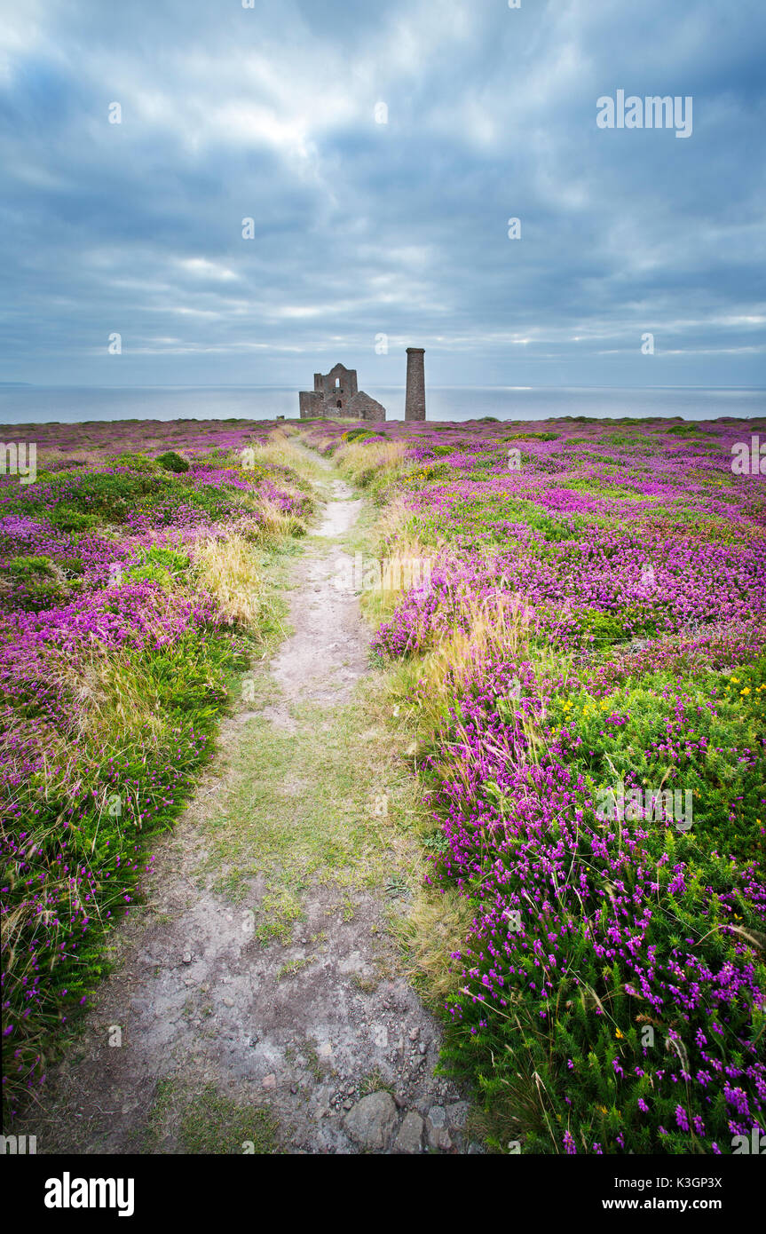 foot path leading to the ruins of Wheal Coates mine in St Agnes Cornwall Stock Photo