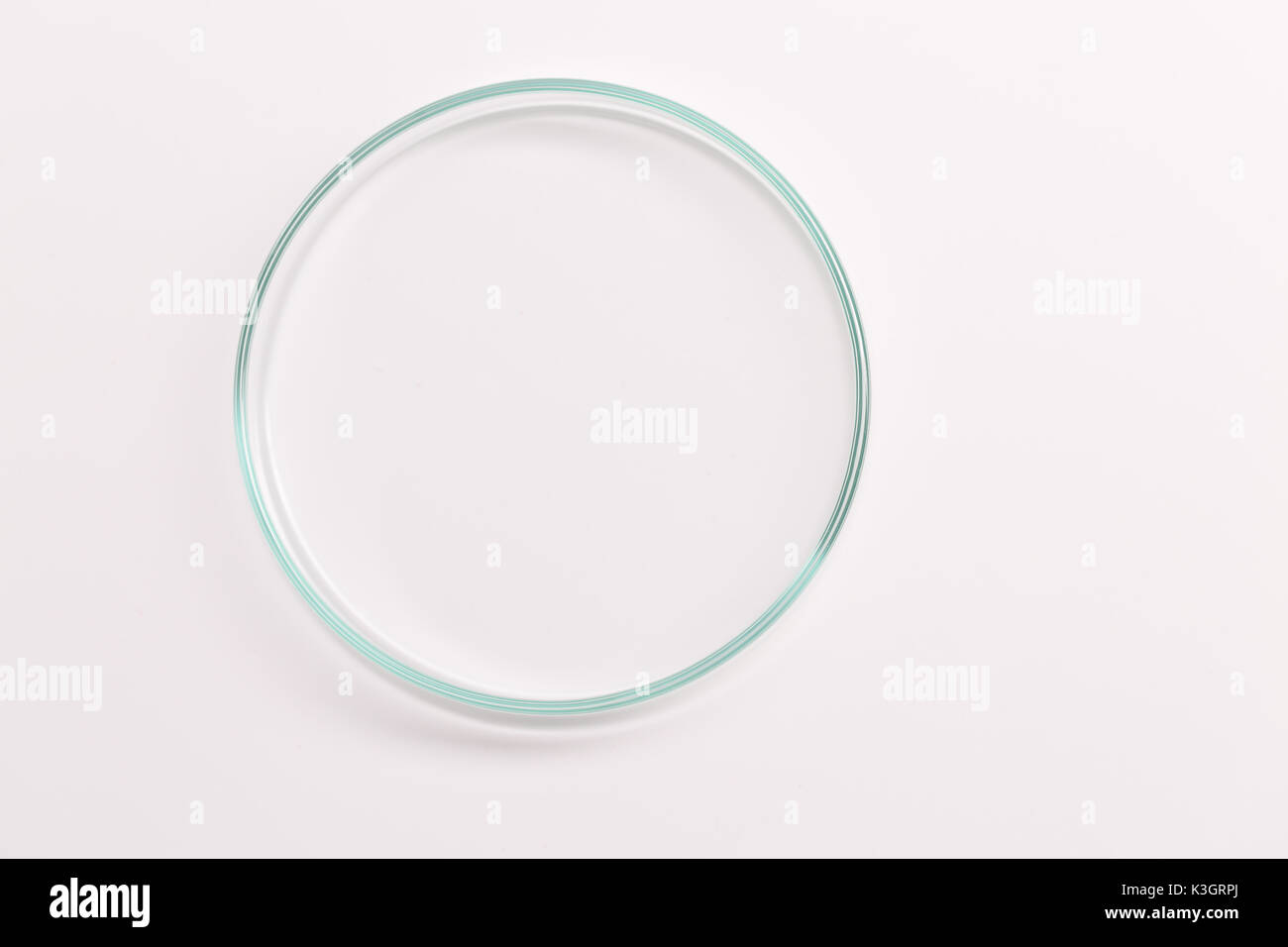 Empty petri dish for growing cultures of in doctor hand , fungi and microbes. A