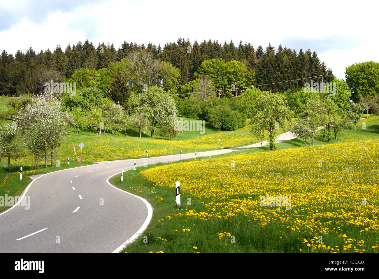 Country road in springlike scenery Stock Photo