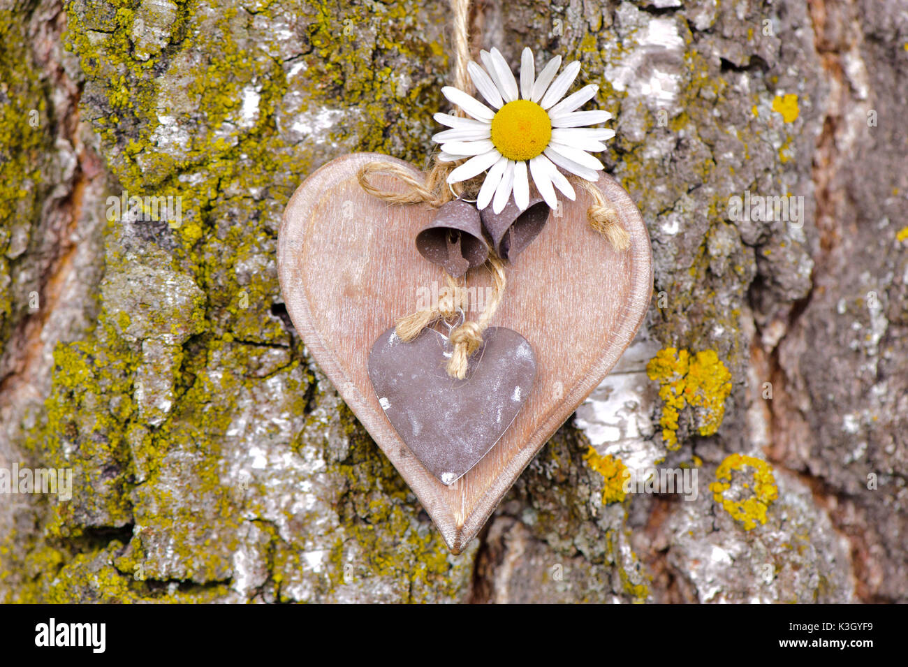 Carved heart at the tree as an icon of the love Stock Photo
