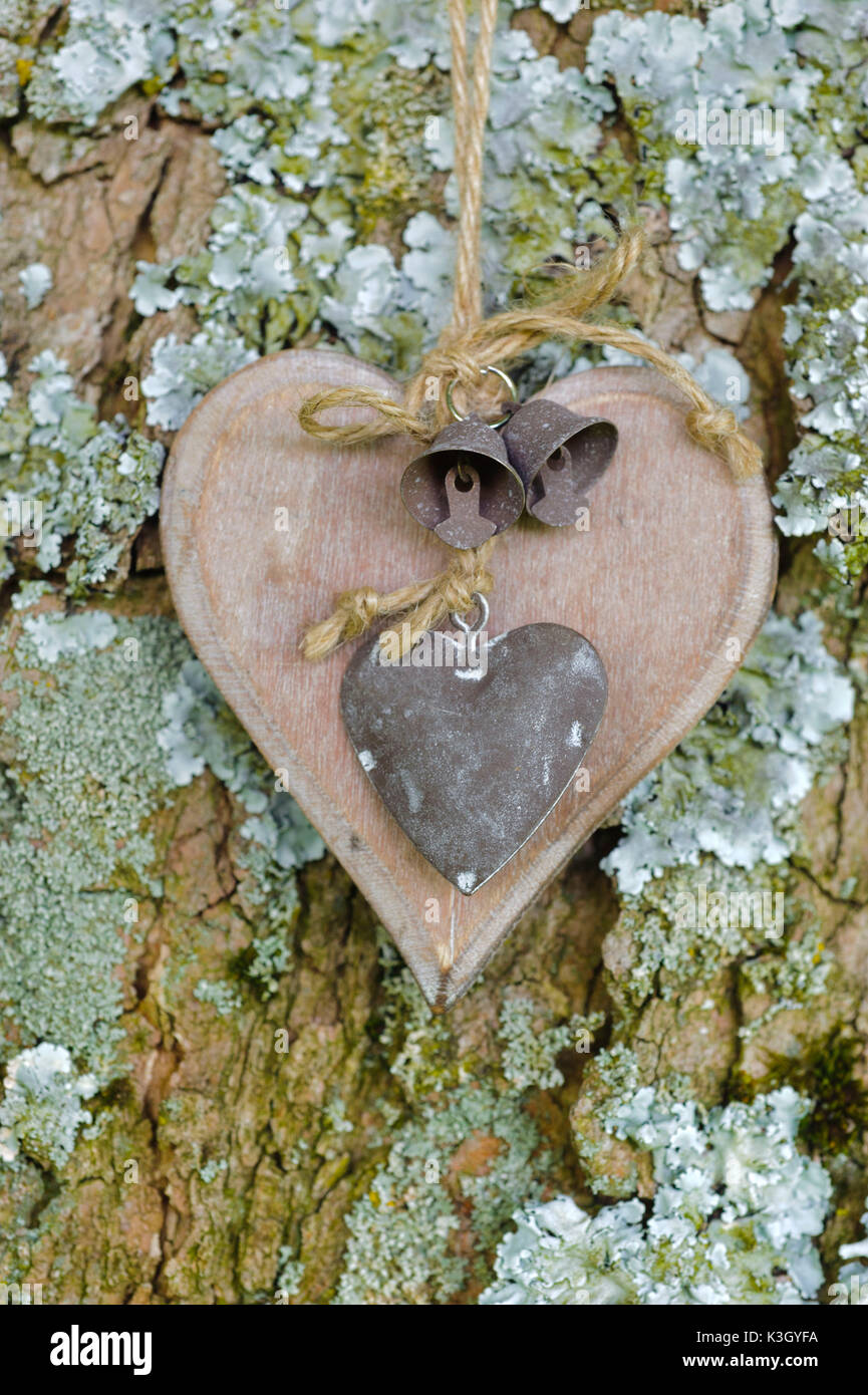 Carved wooden heart hangs on the trunk as an icon of the love Stock Photo
