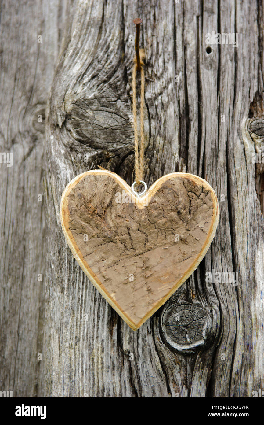 Carved wooden heart hangs on the trunk as an icon of the love Stock Photo