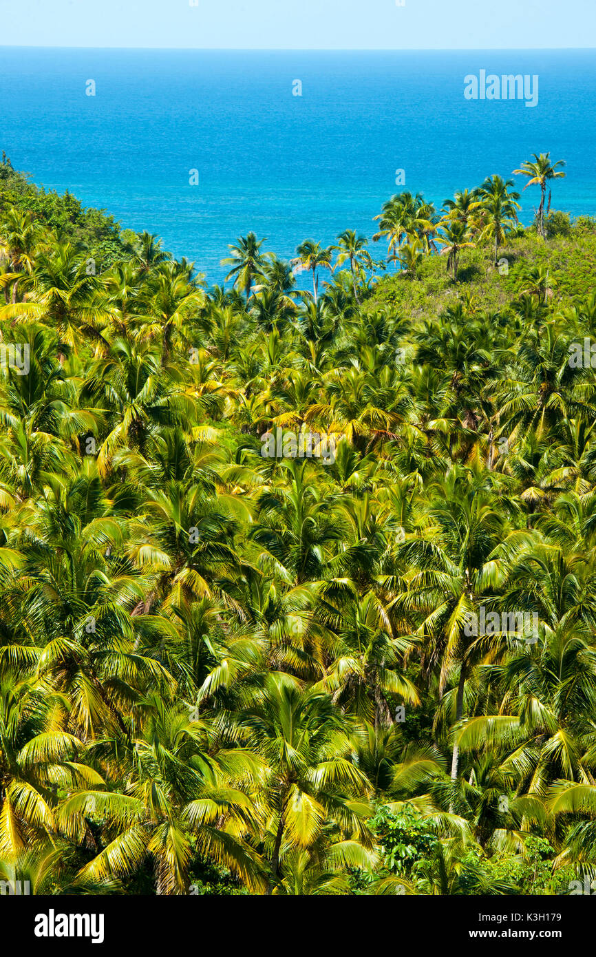 The Dominican Republic, peninsula Samana, view of the lookout at the boulevard Turistico del Atlantico on the north coast close Las Terrenas Stock Photo