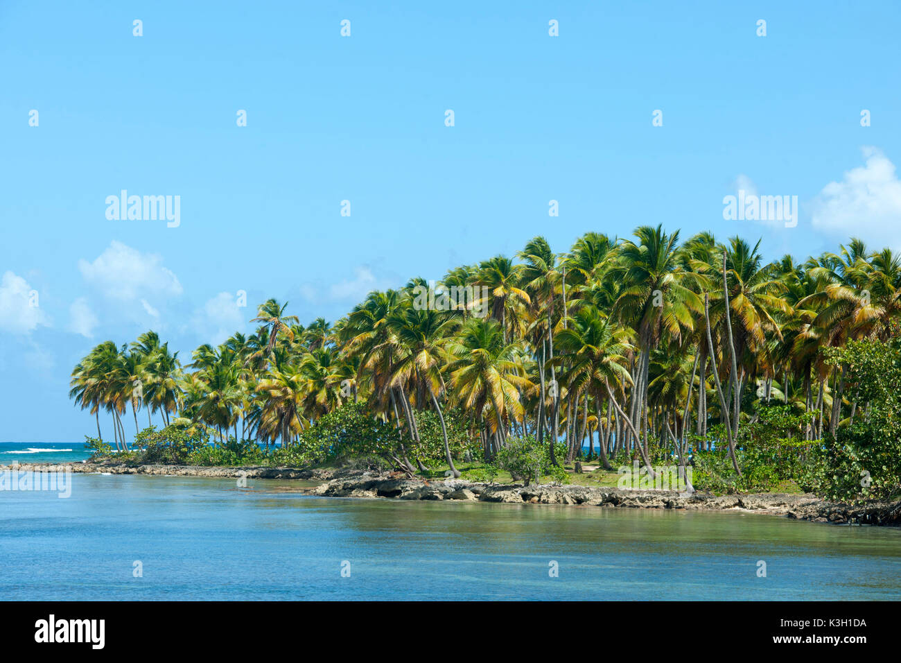 The Dominican Republic, peninsula Samana, los Galeras, Playa los Galeras Stock Photo