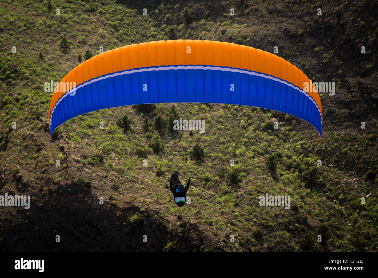 Paraglider, volcano mountain, Playa de read Americas, island Tenerife, Canaries island, aerial picture, Spain Stock Photo