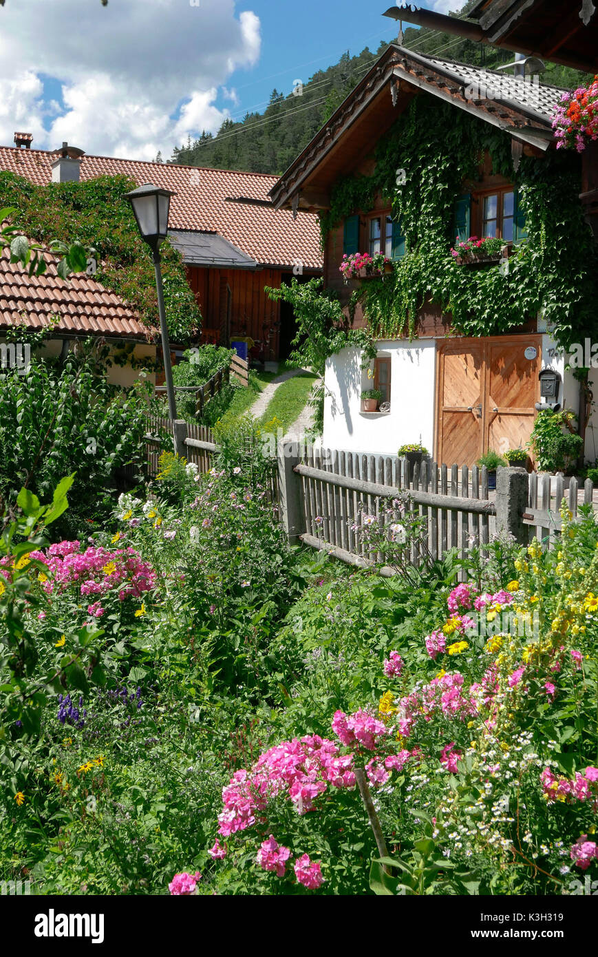 of blossoming cottage gardens in front of wooden fence, farm and twined round house, Upper Bavaria, Stock Photo