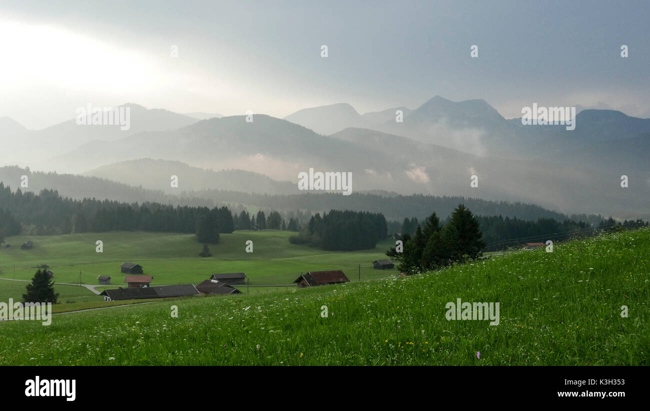 Bavaria, hump meadows, light mood, haze in sticky-hot air after summer thunderstorm, Estergebirge, Stock Photo