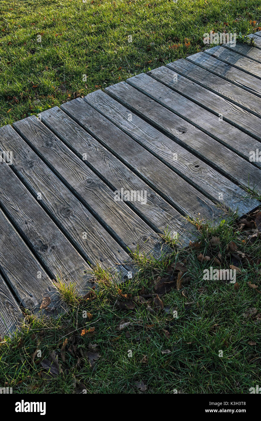 Natural Science, Wooden path on the grass Stock Photo