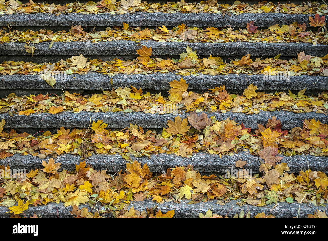 Natural Science, Stair in the old park in autumn Stock Photo