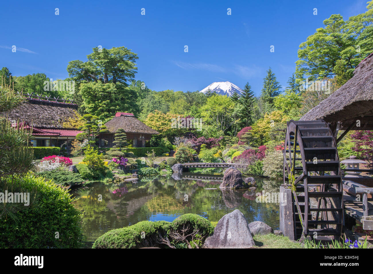 Yamanashi Province, Oshino Mura, Minami Tsuru District, Shibosuka, garden Stock Photo