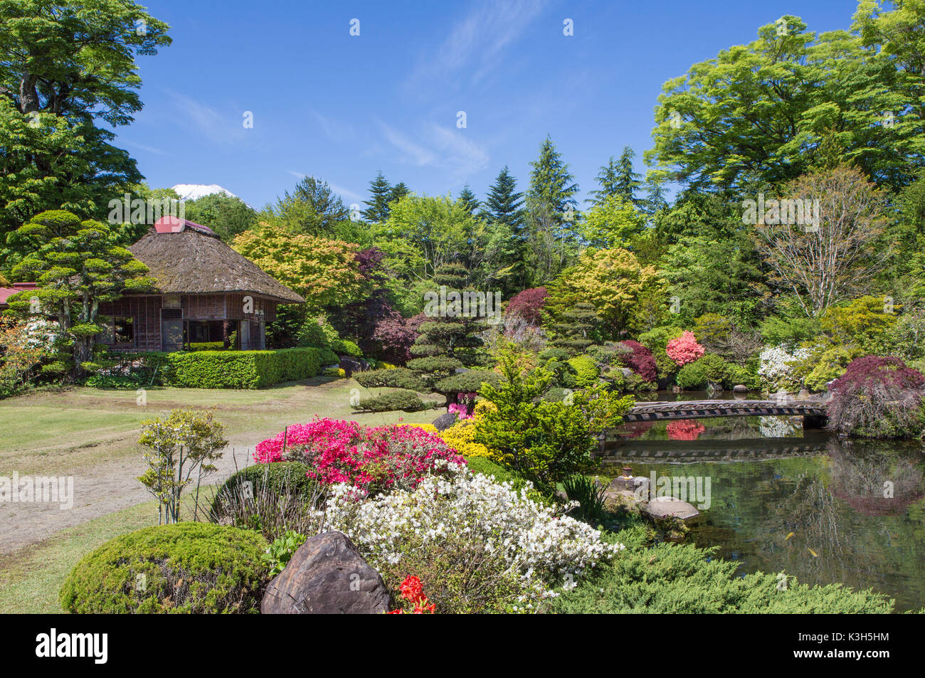 Yamanashi Province, Oshino Mura, Minami Tsuru District, Shibosuka, garden Stock Photo