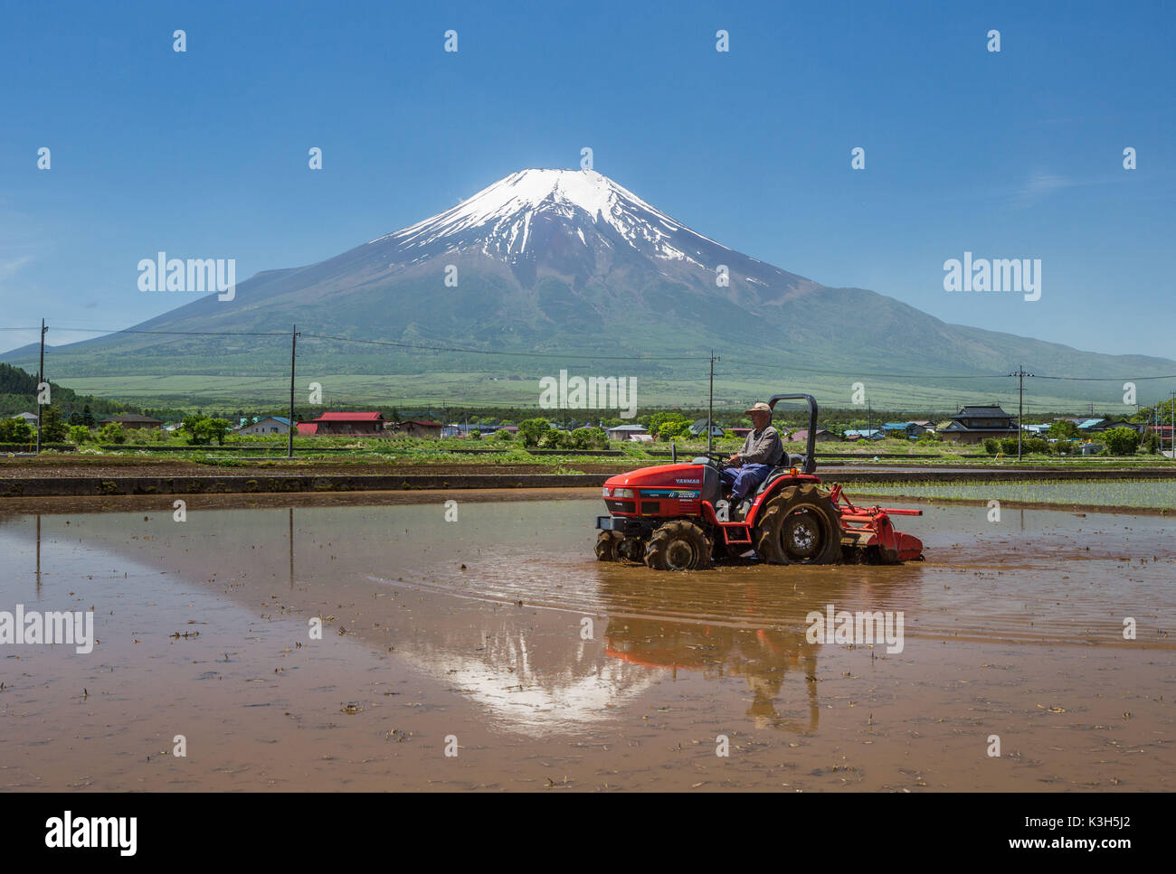 Japan, Yamanashi Province, Near Oshino Mura, rice field Stock Photo