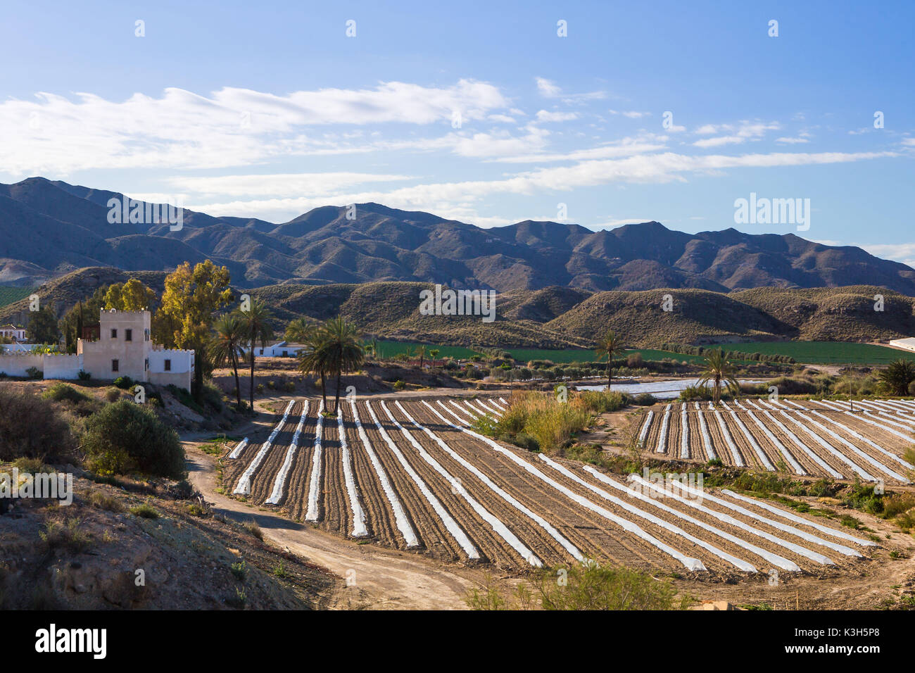 Spain, Almeria province, agriculture Stock Photo