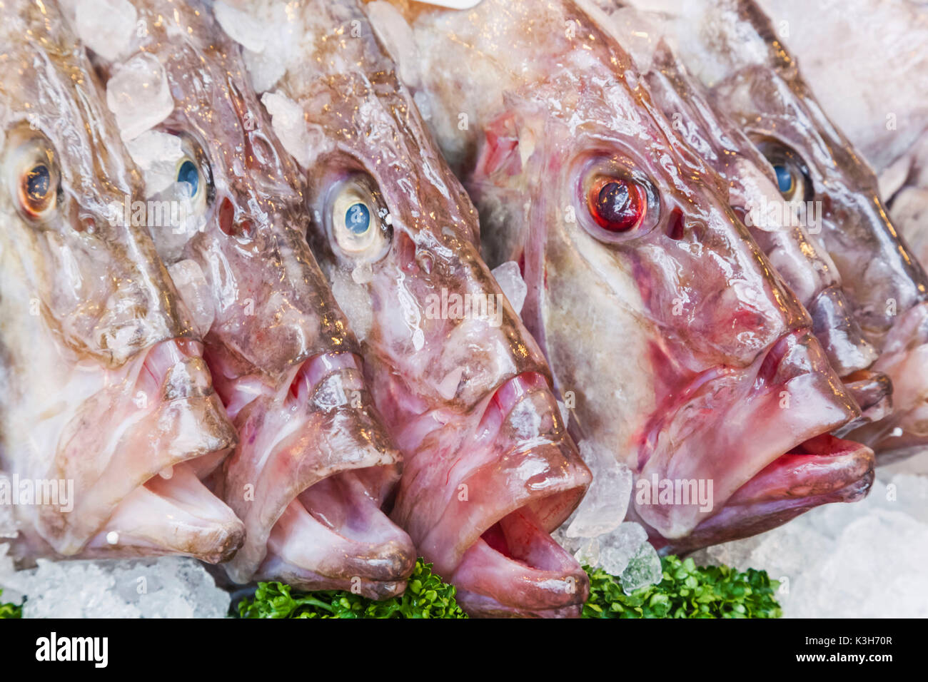 England, London, Southwark, Borough Market, Fish Shop Display of John Dory Fish Stock Photo