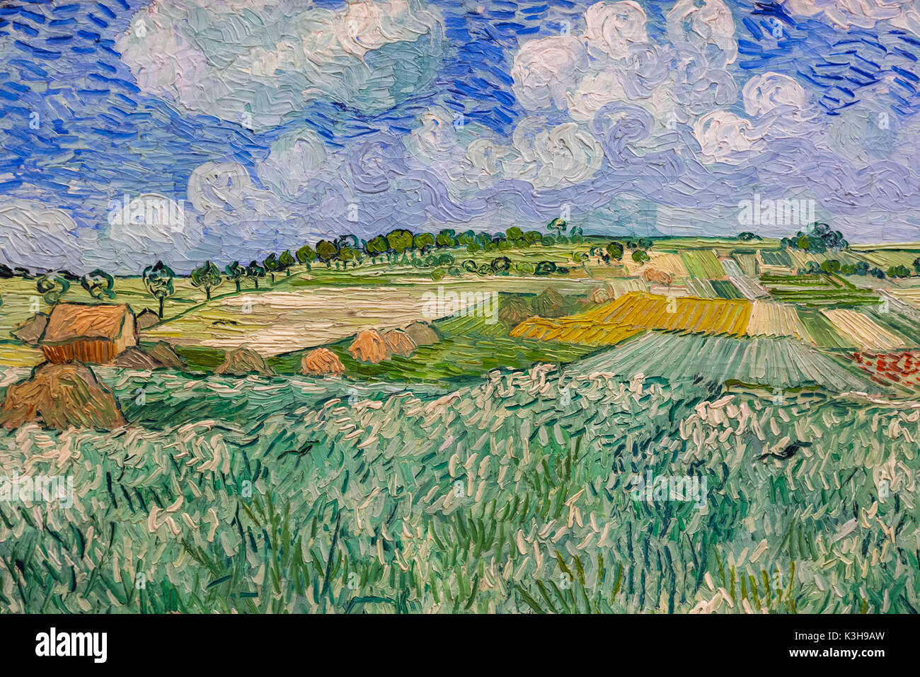 Germany, Bavaria, Munich, The New Pinakothek Museum (Neue Pinakothek), Painting titled 'Plain near Auvers' (Ebene bei Auvers) by Vincent van Gogh dated 1890 Stock Photo