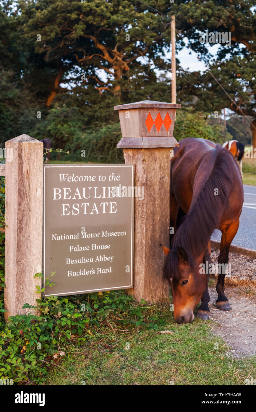England, Hampshire, New Forest, Beaulieu Estate Sign and Horses Stock Photo