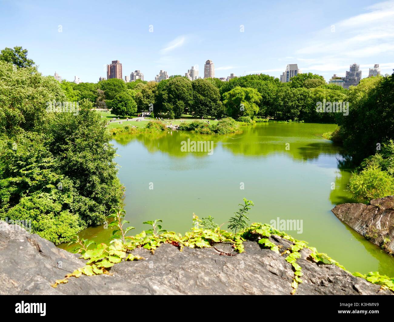 Lake in Central Park, with blue green algae. Park visitors in the ...