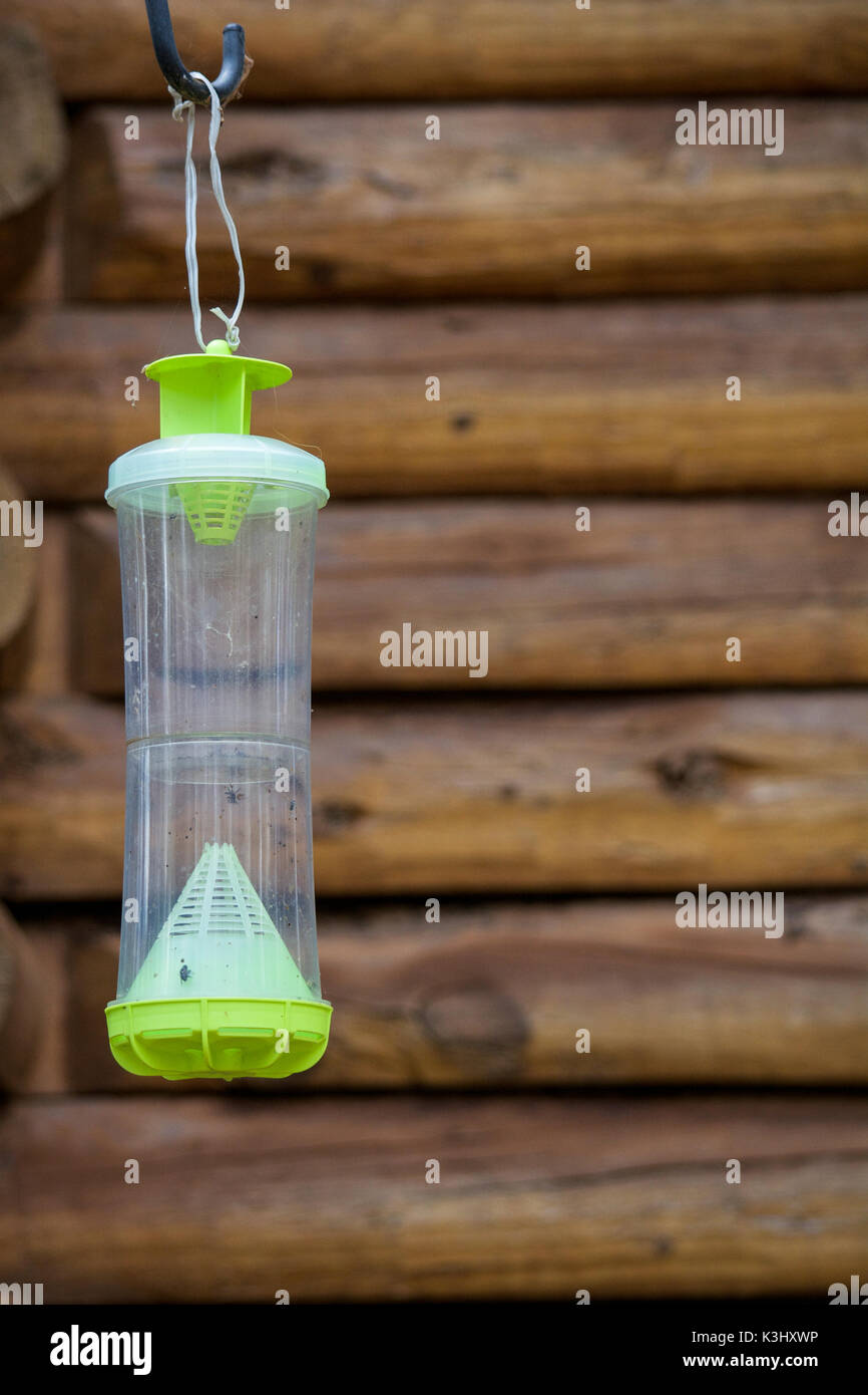 Selective focus on generic green wasp trap hung outside of a wooden cabin to trap  Yellow Jackets Stock Photo
