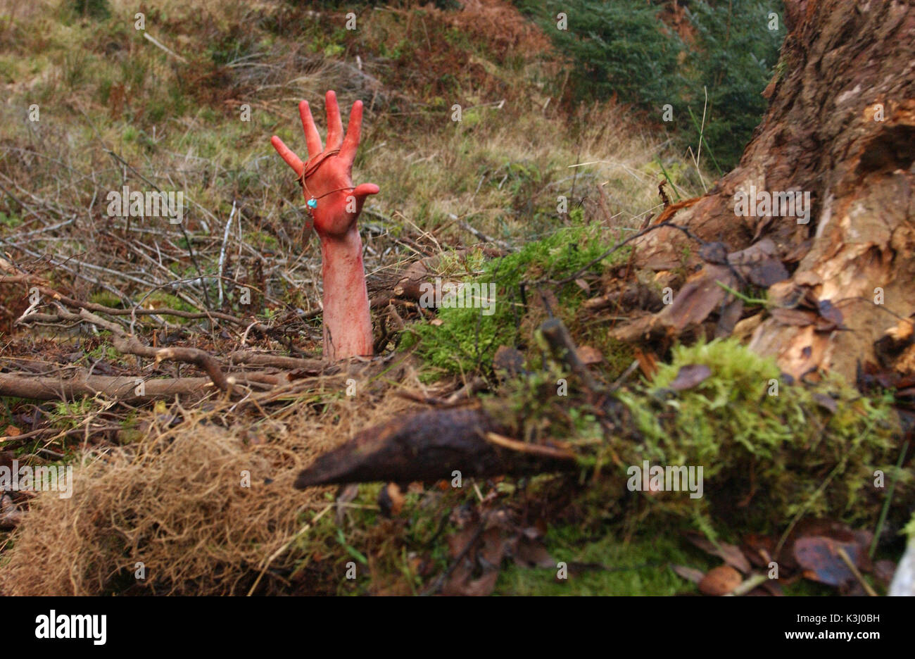 THE DESCENT [BR 2005]  SHAUNA MACDONALD's hand coming out of the ground     Date: 2005 Stock Photo