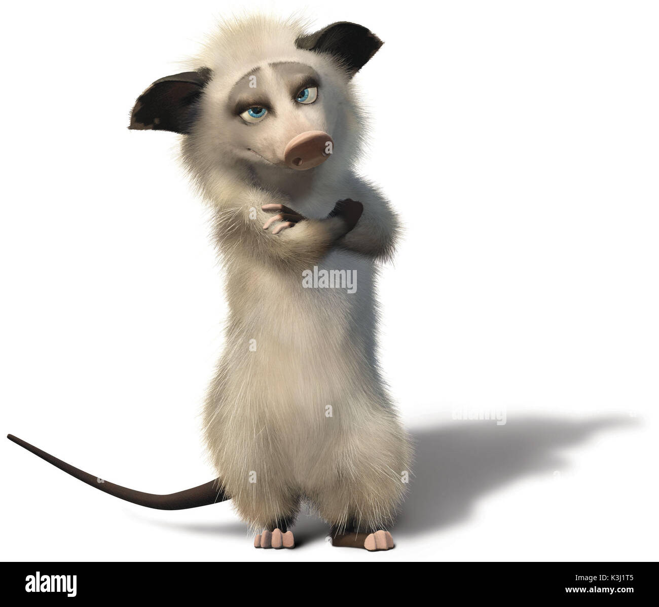 Pictured: Heather the Possum from DreamWorks Animation's computer-animated comedy OVER THE HEDGE. OVER THE HEDGE [US 2006]  Heather the Possum     Date: 2006 Stock Photo