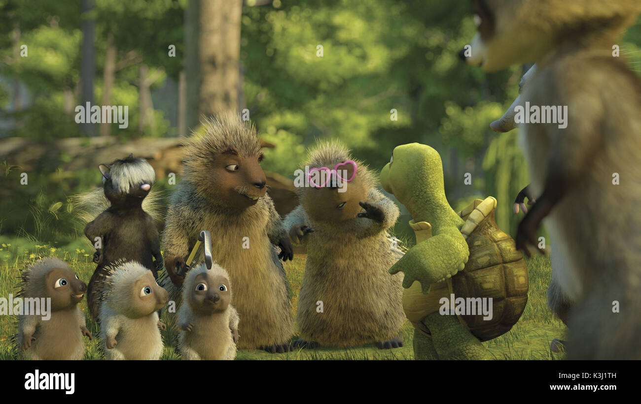 OVER THE HEDGE      Date: 2006 Stock Photo