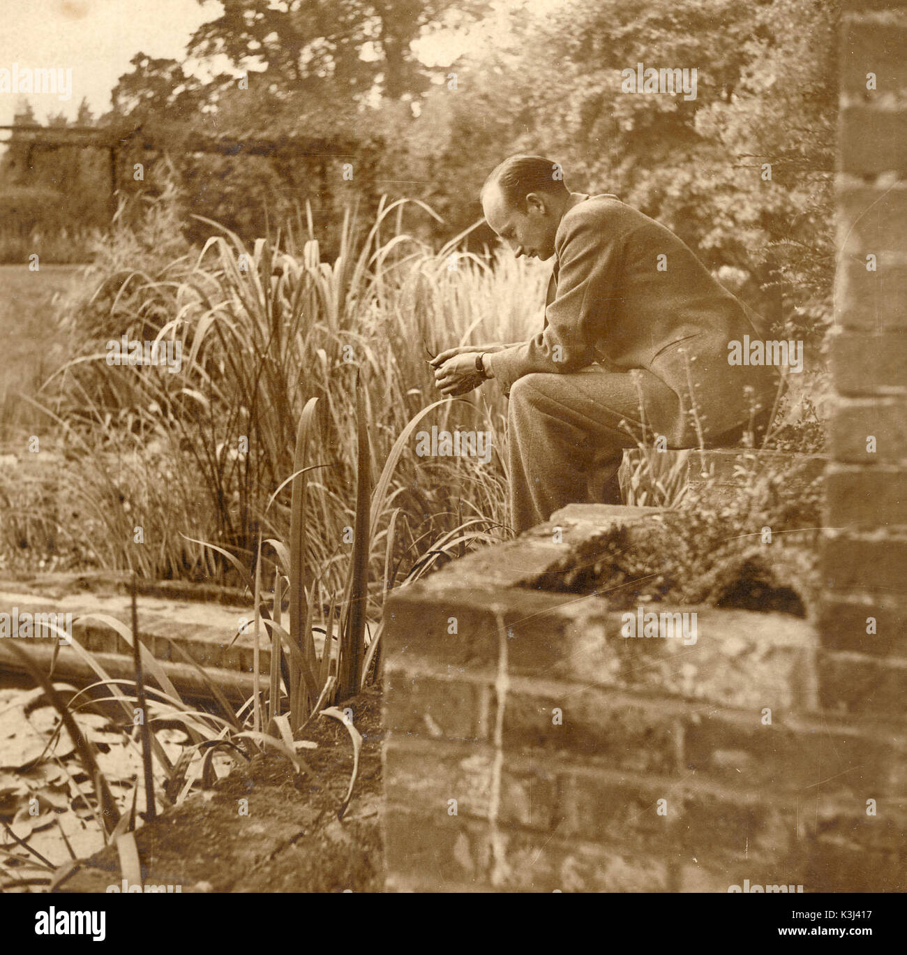 FILM DIRECTOR ROBERT STEVENSON IN THE GARDEN OF PRIORS FARM, MATTINGLY, HANTS WHERE HE LIVED WITH HIS THEN WIFE THE ACTRESS ANNA LEE IN 1937 Stock Photo