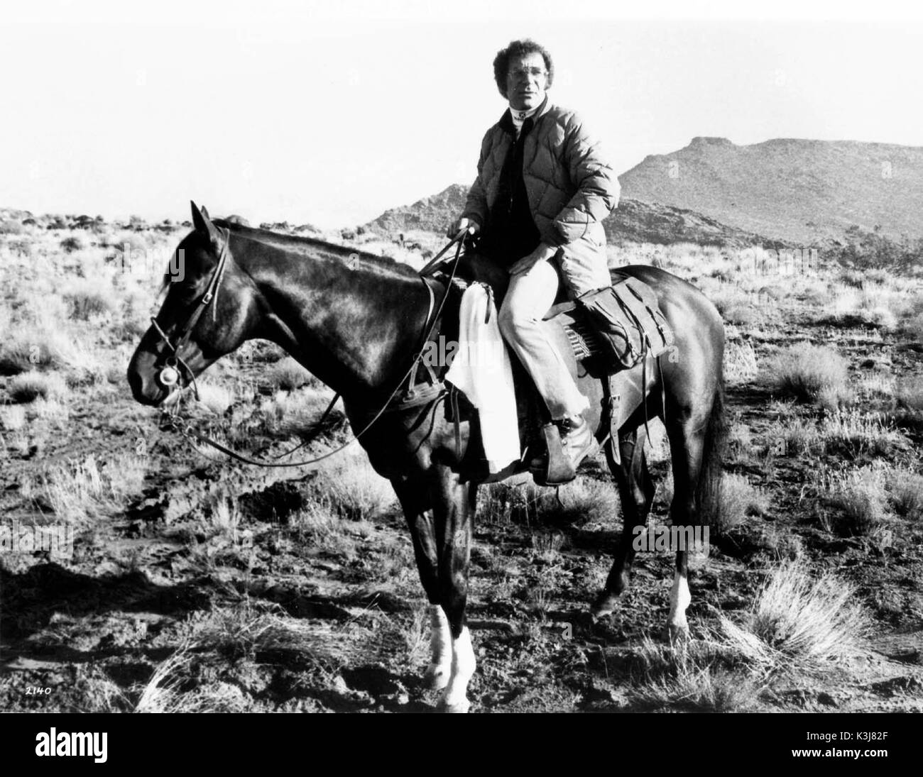 THE ELECTRIC HORSEMAN Director / Actor SYDNEY POLLACK      Date: 1979 Stock Photo