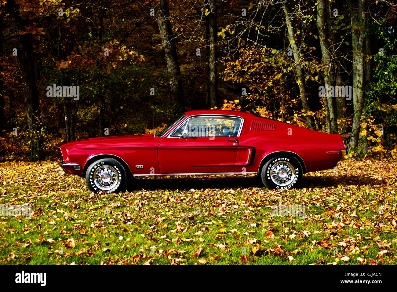 1968 Mustang GT Fastback Stock Photo - Alamy