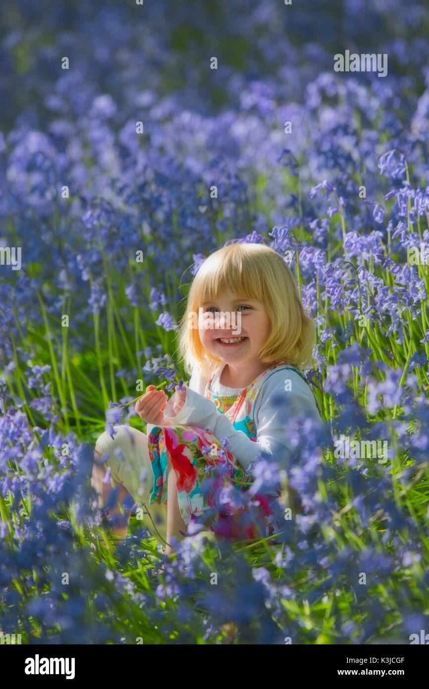 Girl in a bluebell wood in Devon,England UK Stock Photo