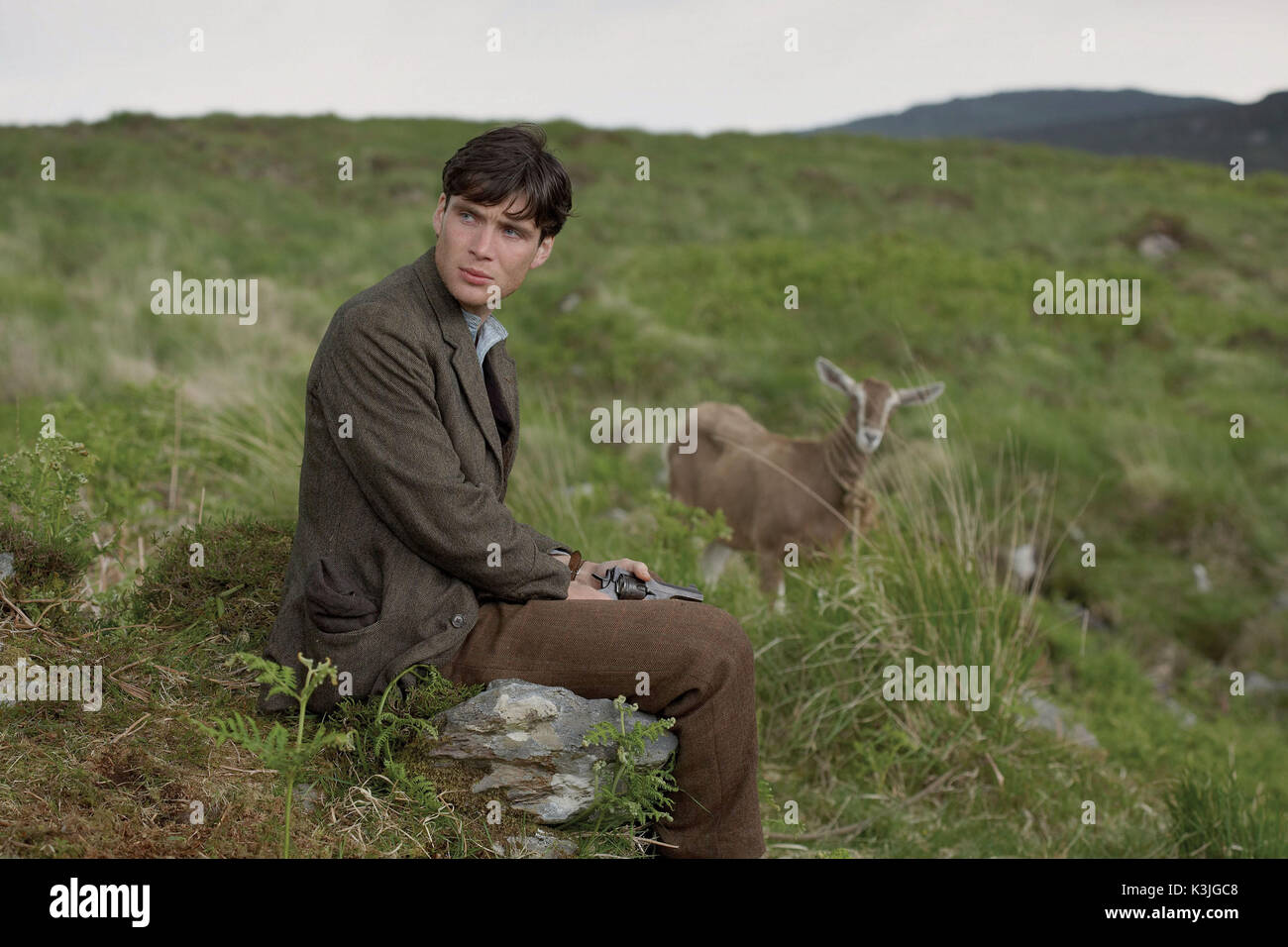 cillian murphy wind that shakes the barley