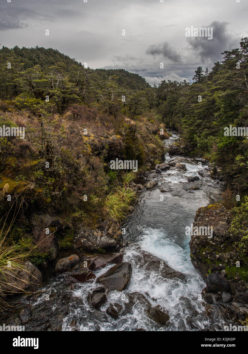 Whakapapanui Stream, Tongariro National Park, New Zealand Stock Photo