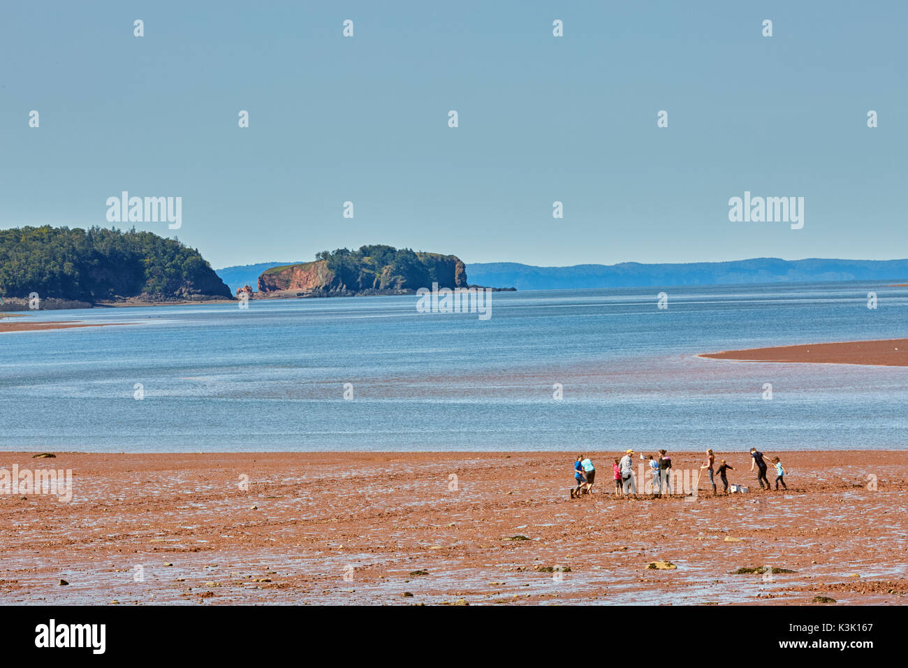 Clam digging at Five Islands Provincial Park, Bay of Fundy, Nova Scotia