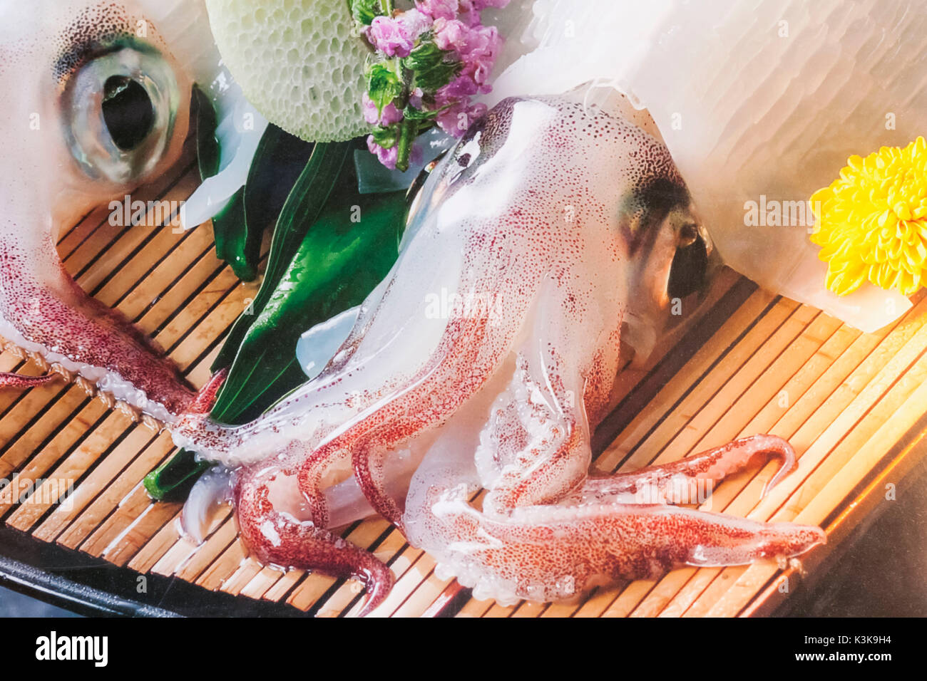 Japan, Hoshu, Tokyo, Seafood Restaurant Window Display of Plastic Cuttlefish Stock Photo
